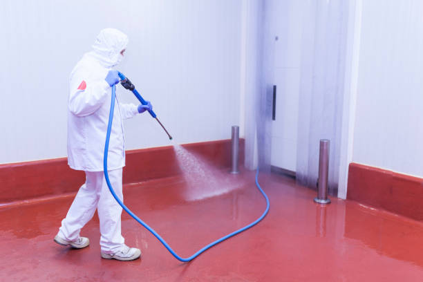 Best Pre-Holiday Cleaning  in Bethel, AK